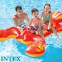 Intex Intex-57563NP Ride on Dragon 201x191 cm 3 años, Multicolor, 3.pequeño (57563NP)