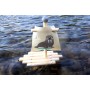 Small Foot 11658 Wooden Starfish Sailboat, Swimming Toy Water, for Children Aged 24+ Months Juguetes, Multicolor