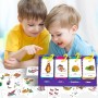 Sight Words Cards, Color Coded Game, Reusable Fun and Engaging Games, Learning Cards, Flash Cards, Vocabulary Words, Encourages
