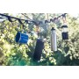 Sony Extra Bass SRSXB23L.CE7 - Altavoz Bluetooth, Azul