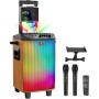Equipo de Karaoke Profesional Inalámbrico, TONOR Bluetooth Sistema PA, Altavoz Portátil con Dos Micrófonos Inalámbricos, Bola