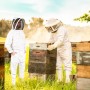 Bee Suit Traje de apicultura profesional de polialgodón de cuerpo completo con sombrero, chaqueta y pantalón protectores, equipo