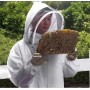 LTBEE - Mono de apicultor profesional con velo independiente