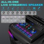 6,5 Pulgadas Altavoz DSP Karaoke Profesional con 2 micrófonos inalámbricos para TV, Máquina Bluetooth portátil con