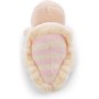 NICI- MagNICI Caracol Rosa, 10cm, Color Beige, Small (47948)