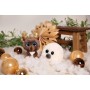 NICI GLUBSCHIS Foca Boubelle 15 cm: Adorable Animal de Peluche Suave, Juguete para Acurrucarse y Jugar, para Niños y Adultos,