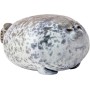 Kiuiom Linda Almohada De Felpa De Focas,Foca De Peluche De Juguete,Animal Focas Gris Toy,Chubby Seal Pillow,Peluche Cruzando