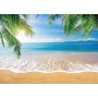 INRUI Fondo de fotografía de Playa Tropical Verano Palmeras Fondo Azul Mar Cielo Sol Luau Telón de Fondo temático (2,1x1,5 m)