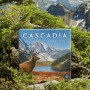 Alderac Entertainment - Cascadia - Board Game - Base Game - For 1-4 Players - from Ages 10+ - English