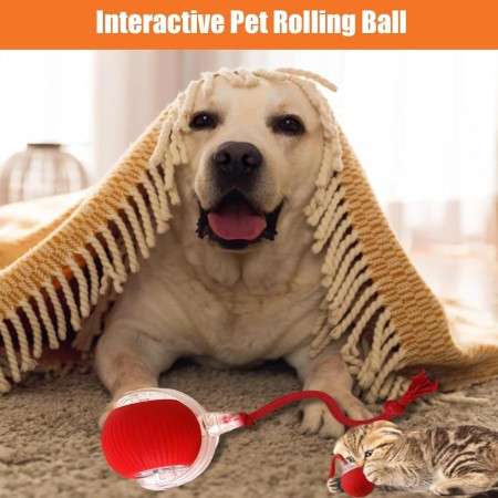 Juguete Interactivo para Gatos y Perros, 2025 New Juguete Eléctrico con Carga USB, Tres Modos de Trabajo, 360° Smart Automatic