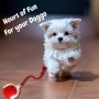Juguete Interactivo para Gatos y Perros, 2025 New Juguete Eléctrico con Carga USB, Tres Modos de Trabajo, 360° Smart Automatic