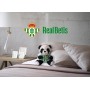 Real Betis Balompié- Osito de Peluche, Peluche, Juguetes, Oso con Camiseta, Fútbol, Color Blanco y Negro, Producto Oficial (CyP
