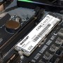 Patriot P310 M.2 PCIe Gen 3 x4 240GB SSD de bajo Consumo - P310P240GM28