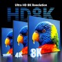 UGREEN Switch HDMI 2.1 8K@60Hz 2 Entradas a 1 Salida, Conmutador 4K@144Hz 2K@240Hz Compatible con Macbook Pro MacMini, BLU-Ray