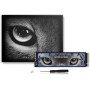 MOVE SPEED HB7450 4TB M.2 SSD | PCIe 4.0 Gen4 NVMe unidad de estado sólido - Velocidad de lectura de hasta 7,450 MB/s,