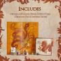 Calliope Games Tsuro - Board Game - English