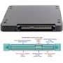 NFHK SFF-8639 NVME U.2 to NGFF M.2 M-Key PCIe SSD Adapter for Mainboard Replace Intel SSD 750 p3600 p3700