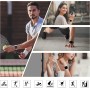 Higgs 6 Piezas Correas Compatible con Correa Apple Watch 40mm 41mm 38mm Mujer Hombre, Pulsera Suave Silicona Deportiva Ajustable