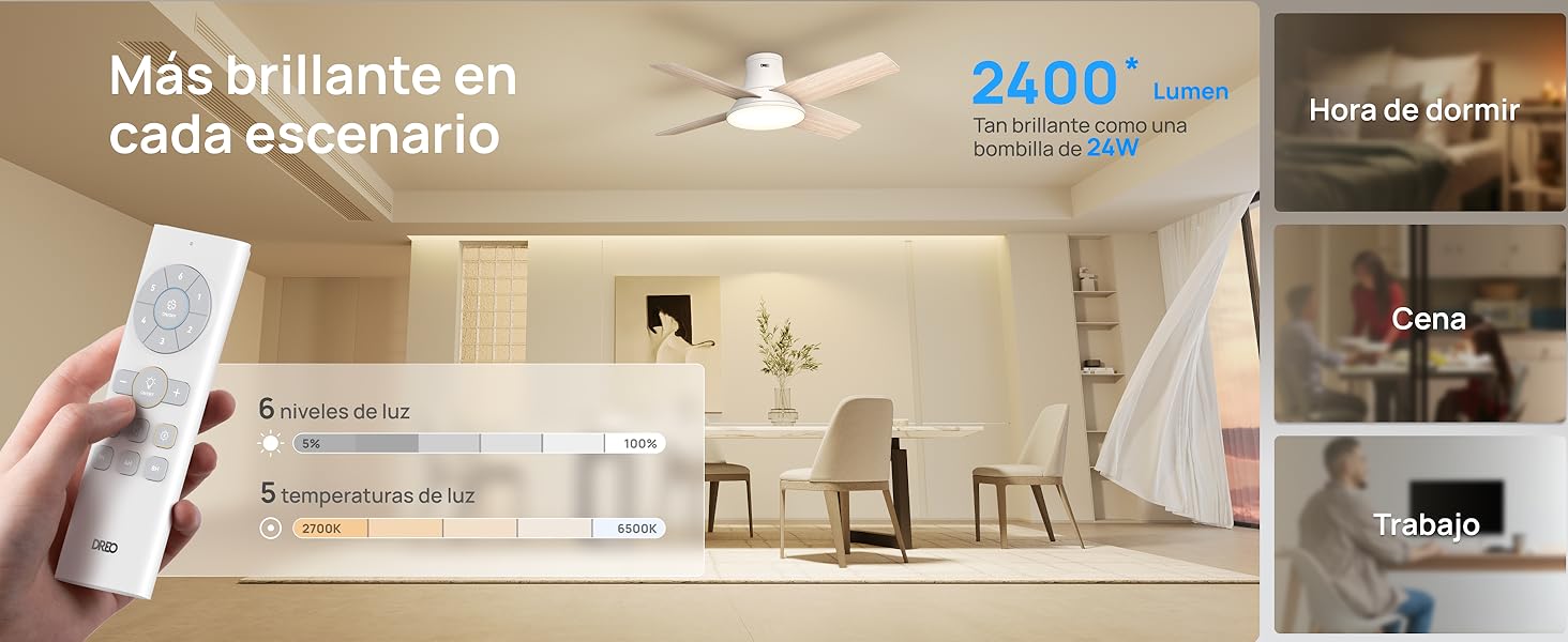 ceiling fans