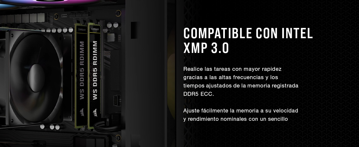 INTEL XMP 3.0, memoria ddr5, ram ddr5, ecc ddr5, registered ddr5