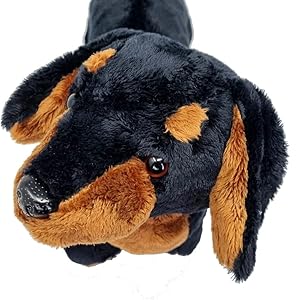 sausage dog