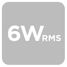 6 W