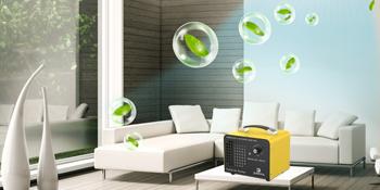 ozone generator