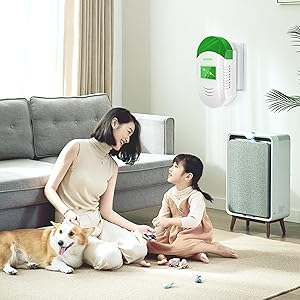 Dispositivo de ahorro de energía, Savers de energía enchufe