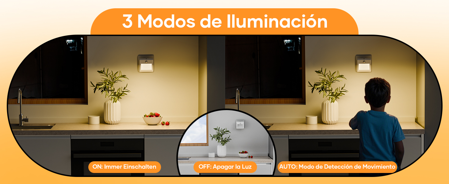 LUZ