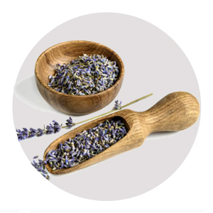 flor de lavanda natural
