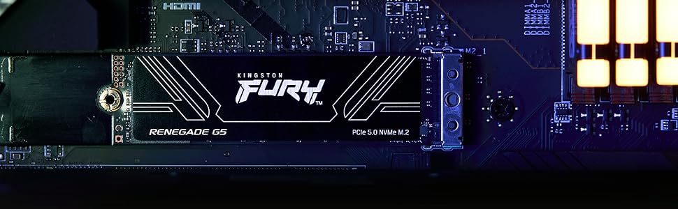 Fury Renegade SSD SYR2S