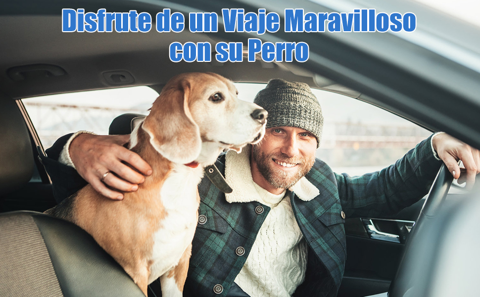 funda perro coche
