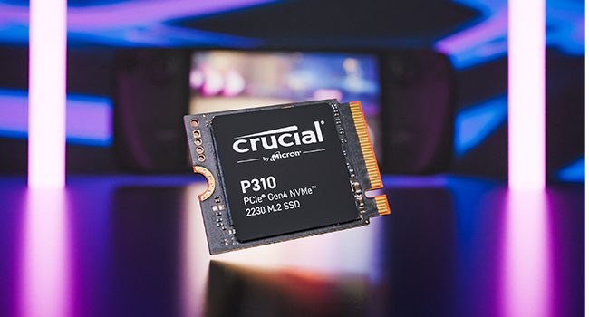 P310 NVMe