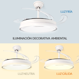 Luz