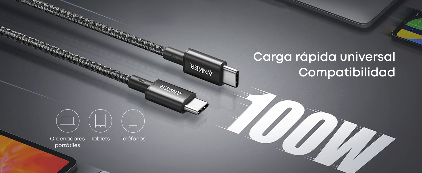El texto dice «Imagen 6» y «100 W». Foto del producto con cable de carga o cable de alimentación de color negro con las especificaciones técnicas indicadas.