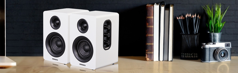 computer speakers
