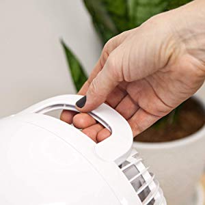 Ventilador de escritorio Woozoo de Iris Ohyama