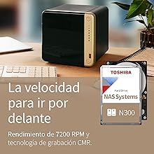 Toshiba NAS N300