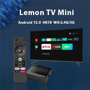 Lemon TV Mini4.2