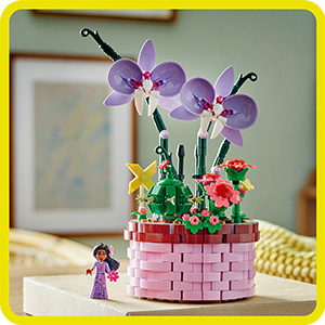 43237_Disney Animation