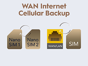 WAN-cellular backup