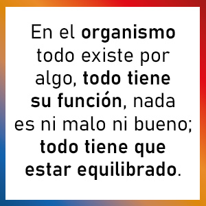 En el organismo todo existe por algo y tiene su función; todo tiene que estar equilibrado.