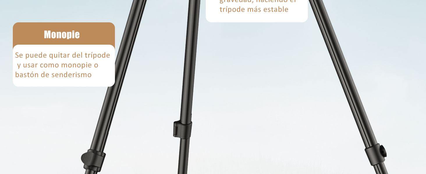 Monopie