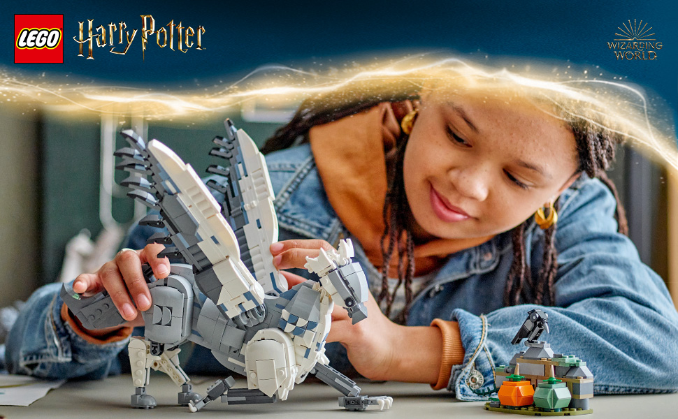 76427_HARRY POTTER