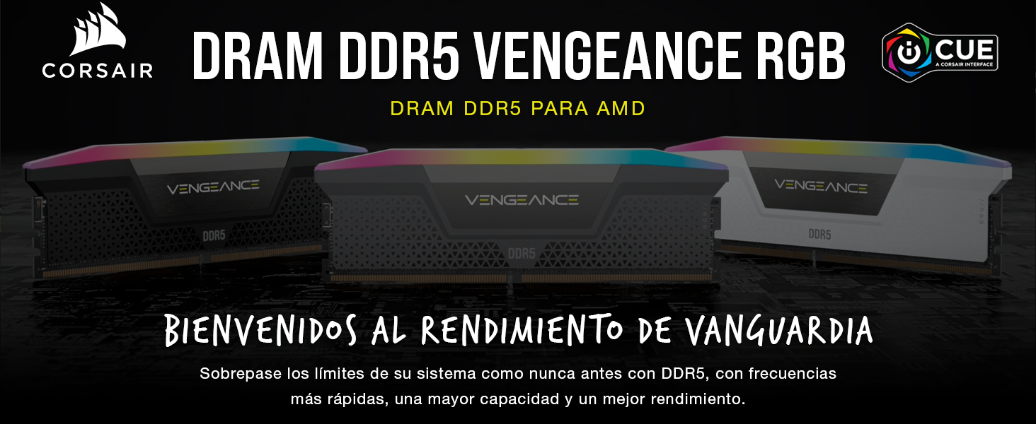 Vengeance RGB DDR5 AMD DRAM