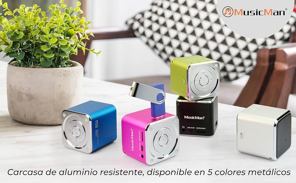 Mini MusicMan Soundstation
