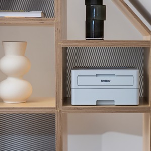 Impresora profesional compacta HL-L2865DW