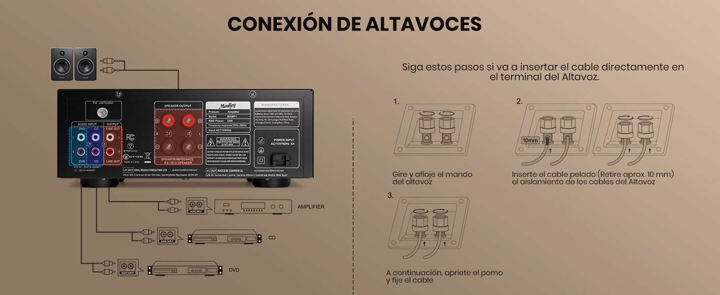 Amplificador