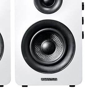 Unidad de altavoz de fibra de carbono de 3 pulgadas