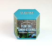 Huerto urbano, semillas, regalo, original, sostenible, natural, amigo invisible, DIY, cultivo